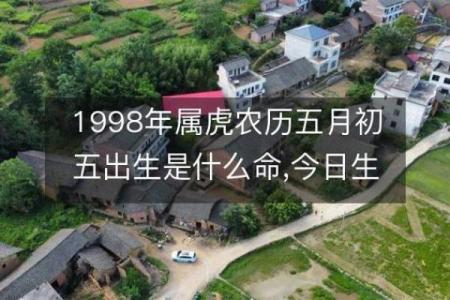 农历十月虎命人，运势解析与生活建议