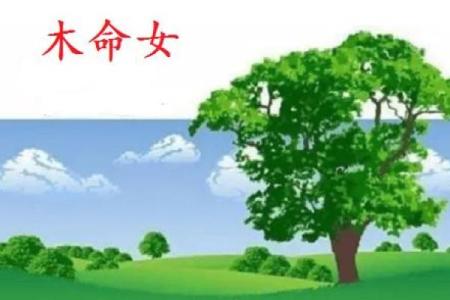木命人士适合的职业选择：成就与天空的碰撞