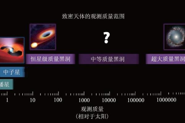 女鼠的五行解析：揭开命运的神秘面纱