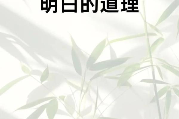 靠命或靠自己：人生选择的哲学思考