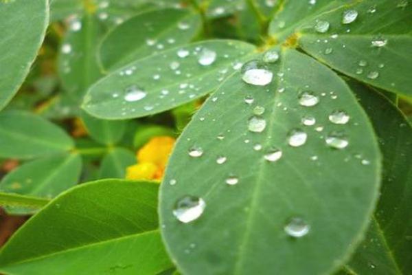 八号出生的癸水命：解析与命理的奥秘