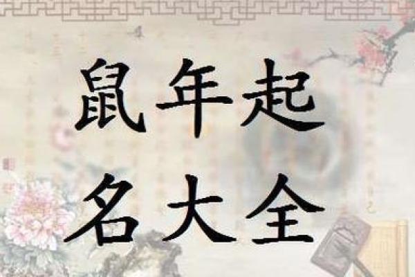 卯时出生的属鼠男孩：命格解析与人生发展之路