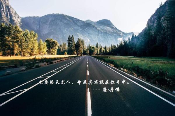 农历四月十月初三出生的人命运解析：掘金人生与内心世界的双重探索