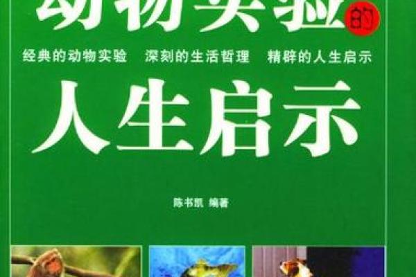 探秘命格：龙启之命的深刻含义与人生启示