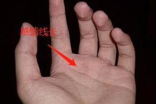 女生手上两个斗象征的命运解析：探寻命理背后的奥秘