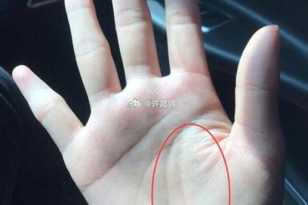 女生手上两个斗象征的命运解析：探寻命理背后的奥秘