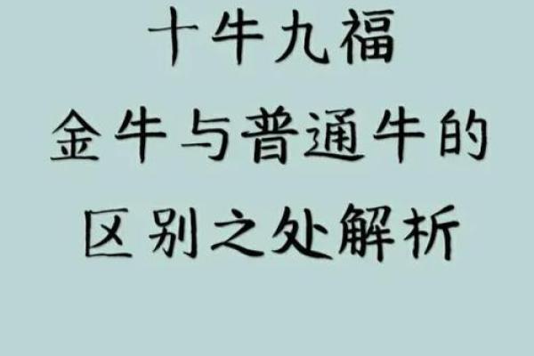 女属牛的五行命格解析：怎样才能迎接好运与幸福