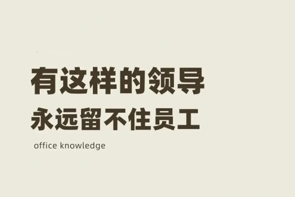 当领导想要我的命：压力之下的职场生存之道