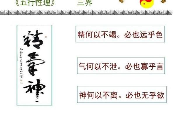 命上五条根，人生的深刻启示与哲理探讨