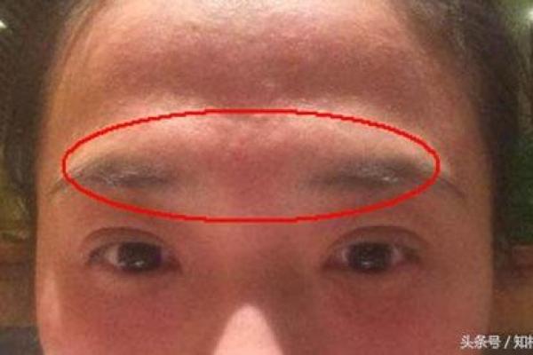 如何理解路旁土命的特征与人生运势