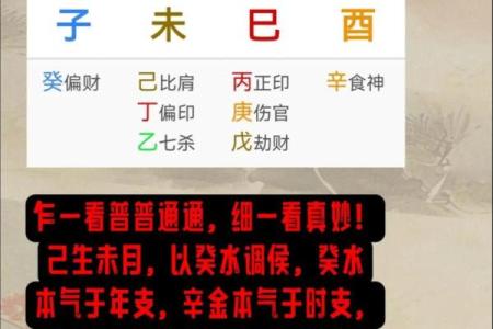 探索命理中的五个食神：揭秘五行背后的深意与影响！