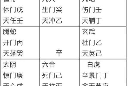 探索坤命与震命：命理学中的两种独特人生轨迹