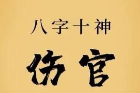 女命伤官财的深刻解析与生活启示