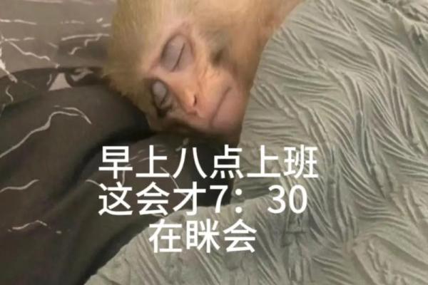 命里什么也没有的命，是一种怎样的生活体验？