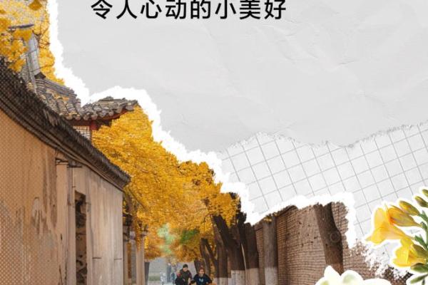 探索生活中的小确幸，让每一天都充满阳光与温暖