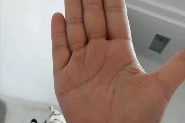 牛年申时女孩的命运与性格解读：天生的勇者与智慧的结合