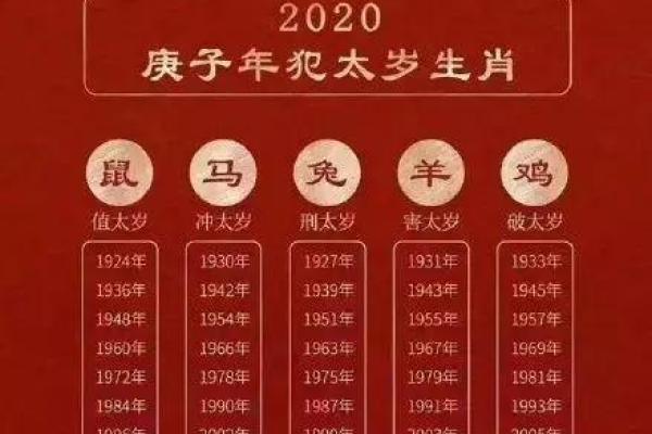 龙与蛇：命理中的神秘关联与运势解析