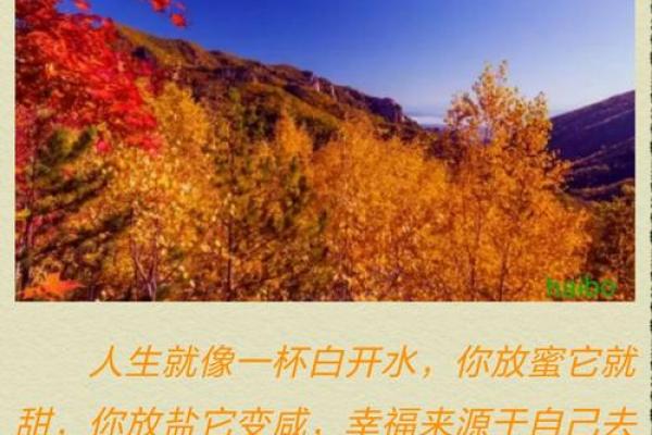 农历一月二十八出生之人的命运解析与精彩人生