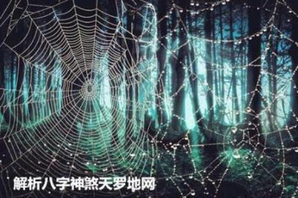 探秘女命地网运：深层解析命理与生活的关系