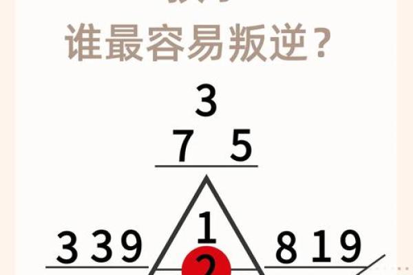 命魁罡命：探索命理中隐藏的生命密码与人生道路