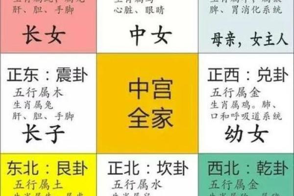 探秘木火命夫妻五行：缺失与补救的智慧