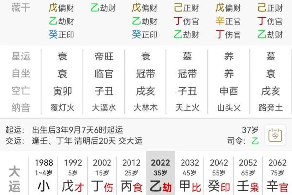 命局有土的深层含义与生活中的影响解析