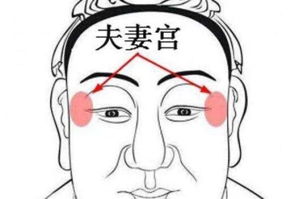 女命夫妻宫强的智慧与幸福：解读其背后的深意