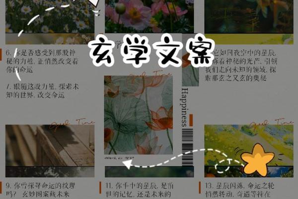 牛郎星命的深意与人生启示：从星空看命运的奥秘