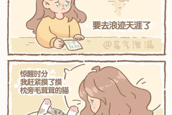 猫有九条命与生肖的神秘联系