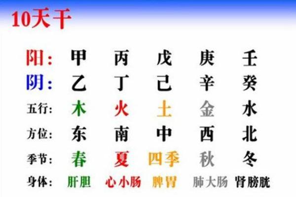 探秘命骨三两的含义与影响，解读命理奥秘！