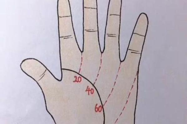 女人手指上粗下细的命理解析：揭示你的性格与命运