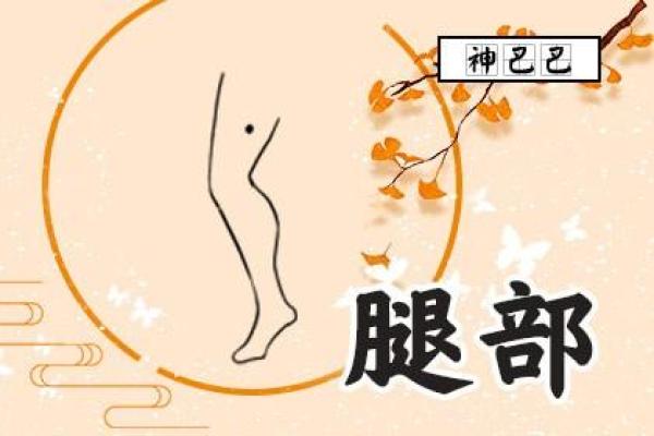 男人腿长与人生命运的奇妙关系