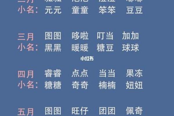 霹雳火命者的小名选择指南：让你的小名更显韵味与个性