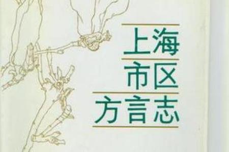 陆丰方言志:探寻方言背后的文化和故事