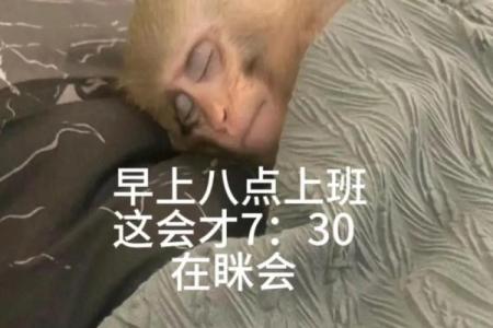 命里什么也没有的命,是一种怎样的生活体验?