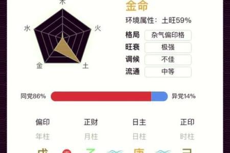 揭秘每月巳亥二日的命理奥秘:你的命运与它息息相关!