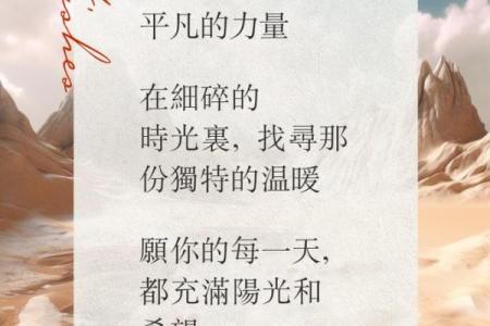 探索生活中的小确幸，让每一天都充满阳光与温暖