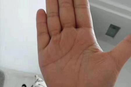 牛年申时女孩的命运与性格解读:天生的勇者与智慧的结合