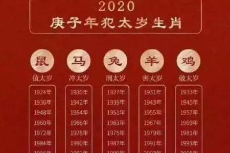 龙与蛇:命理中的神秘关联与运势解析