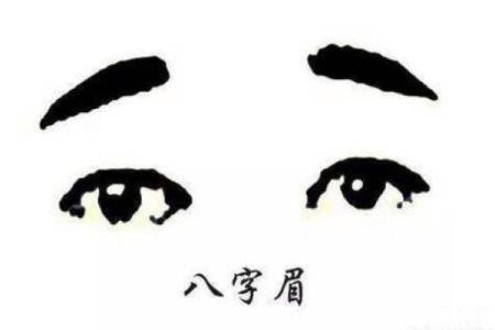 男生八字眉的命运象征与性格解析