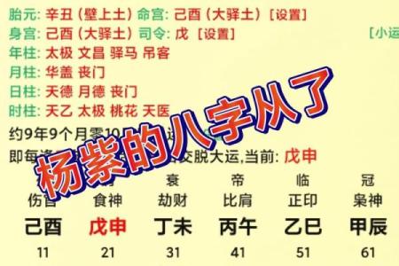 女命八字解析：哪些命局更容易在娱乐圈大放异彩？