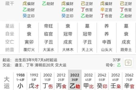 命局有土的深层含义与生活中的影响解析