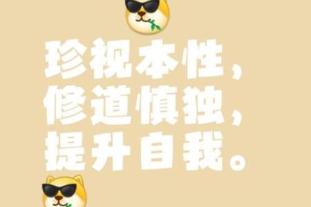 探秘“两指宽”的生活哲学：简约与宽容的智慧之道
