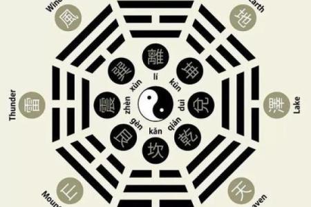 命理中的多金人：揭开财富背后的神秘面纱