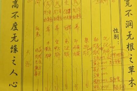 男木命女土命生什么命的孩子?神秘命理揭秘!