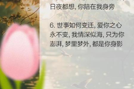 女生对你的爱如命:揭开深情背后的真相