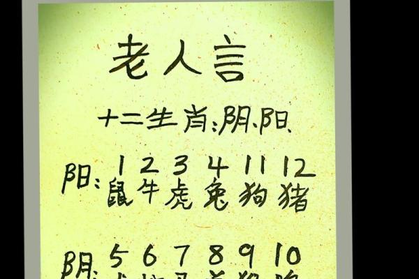 探讨老丈人在八字命理中的属相与命运解析
