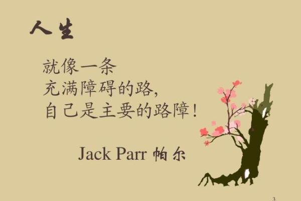 命太硬的背后：结婚前的心灵探讨与成长之旅
