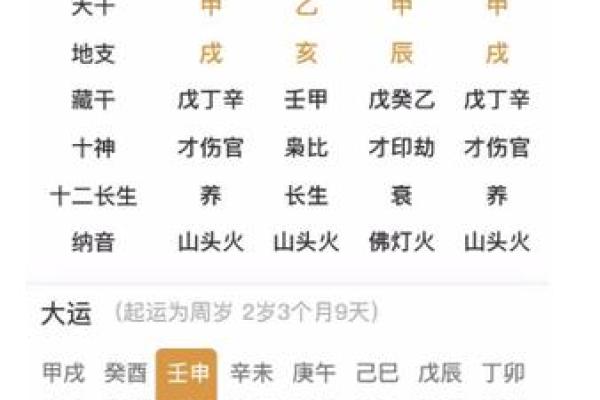 年甲与年命的区别：解读八字中的神秘密码