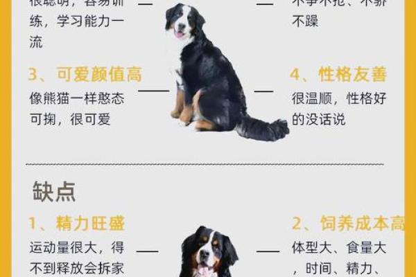 农历三月出生的狗，命运揭密与性格解析